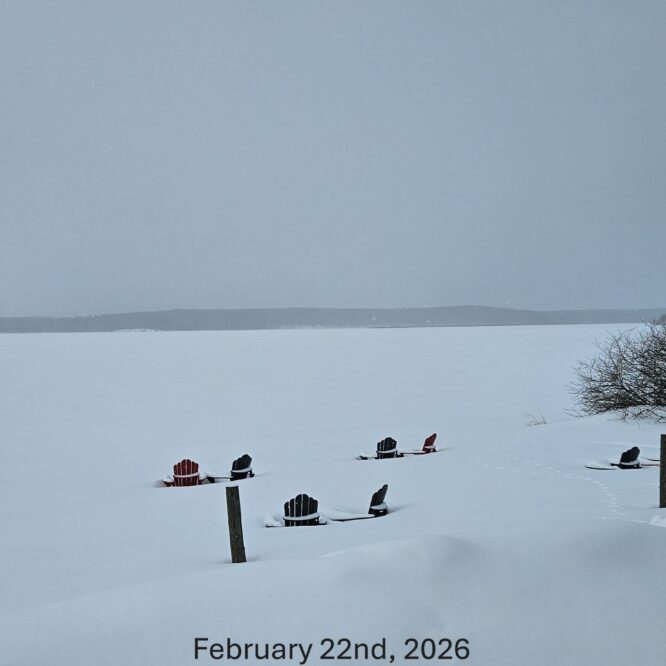 A snow covered beach with the tops of lawn chairs sticking out from the snow
